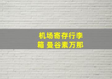 机场寄存行李箱 曼谷素万那